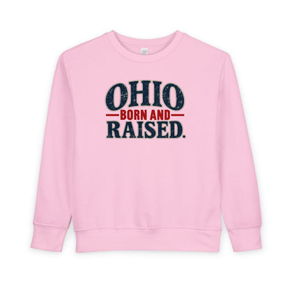 Ohio Born and Raised Vintage Souvenir Unisex Toddler Sweatshirt