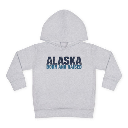 Alaska Born and Raised Modern Streetwear Unisex Toddler Pullover Fleece Hoodie