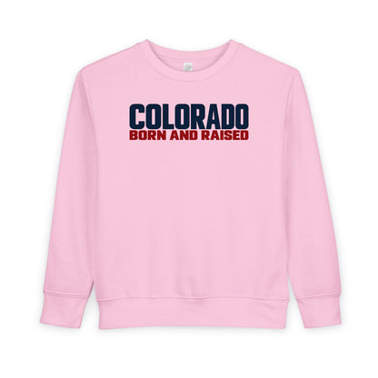 Colorado Born and Raised Minimal Modern Unisex Toddler Sweatshirt