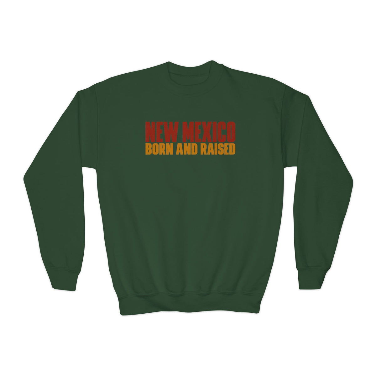 New Mexico Born and Raised Minimal Vintage Unisex Youth Crewneck Sweatshirt Graphic