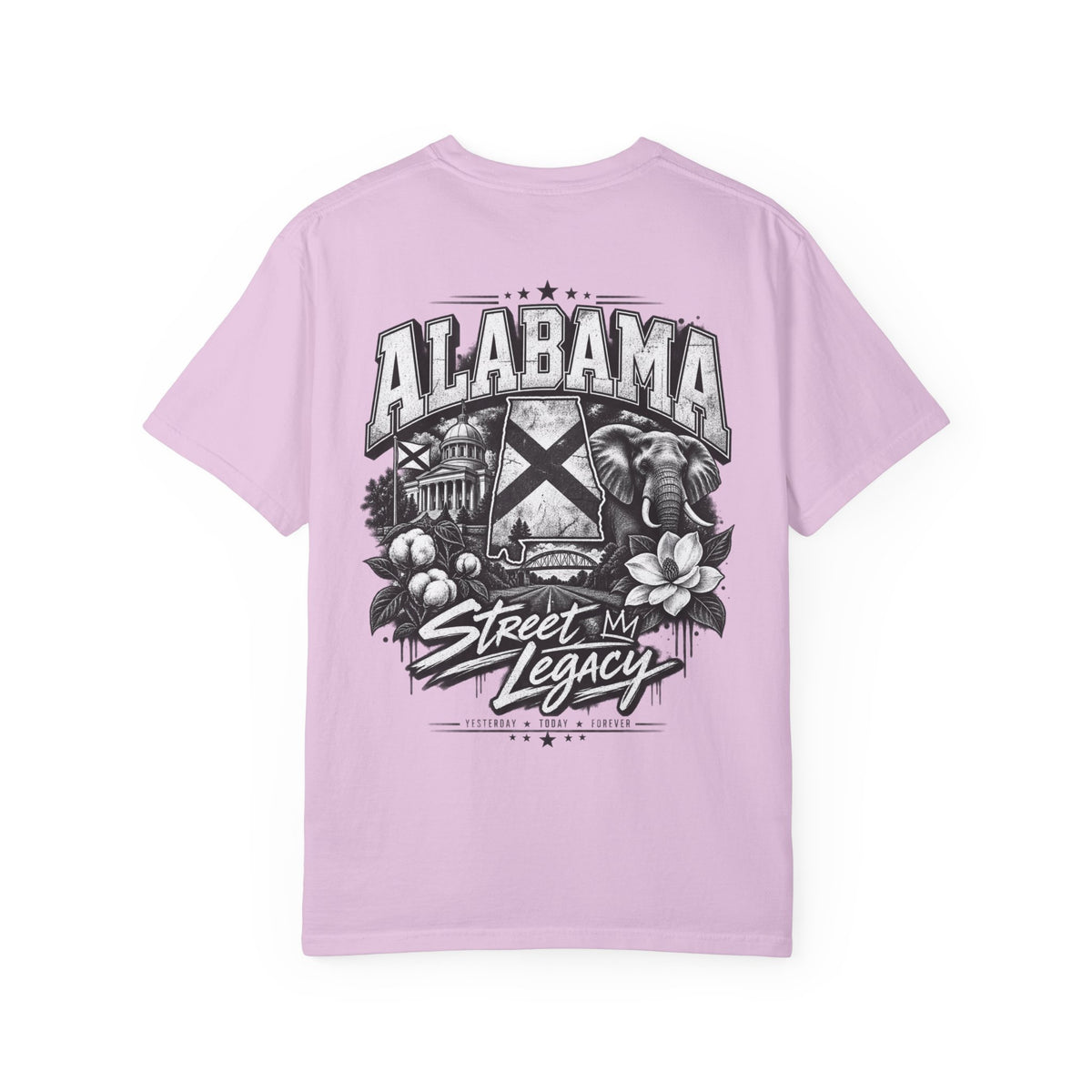 Alabama Street Legacy Unisex Comfort Color 1717 Streetwear Graphic Tee