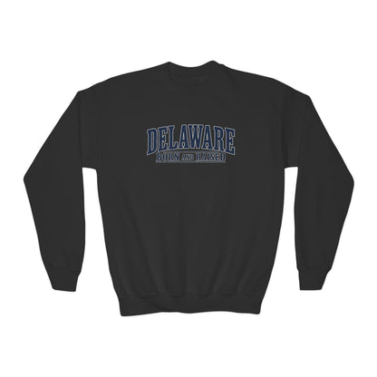 Delaware Born and Raised Luxury Vintage Unisex Youth Crewneck Sweatshirt Graphic