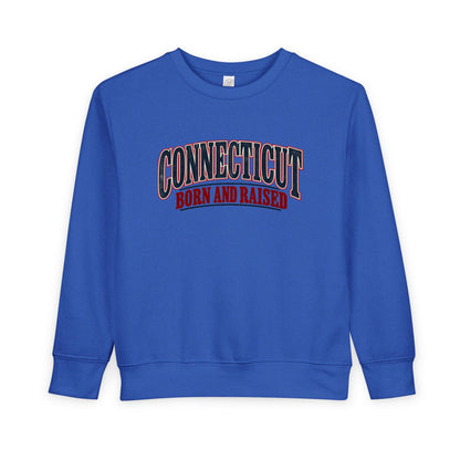 Connecticut Born and Raised Classic Souvenir Unisex Toddler Sweatshirt