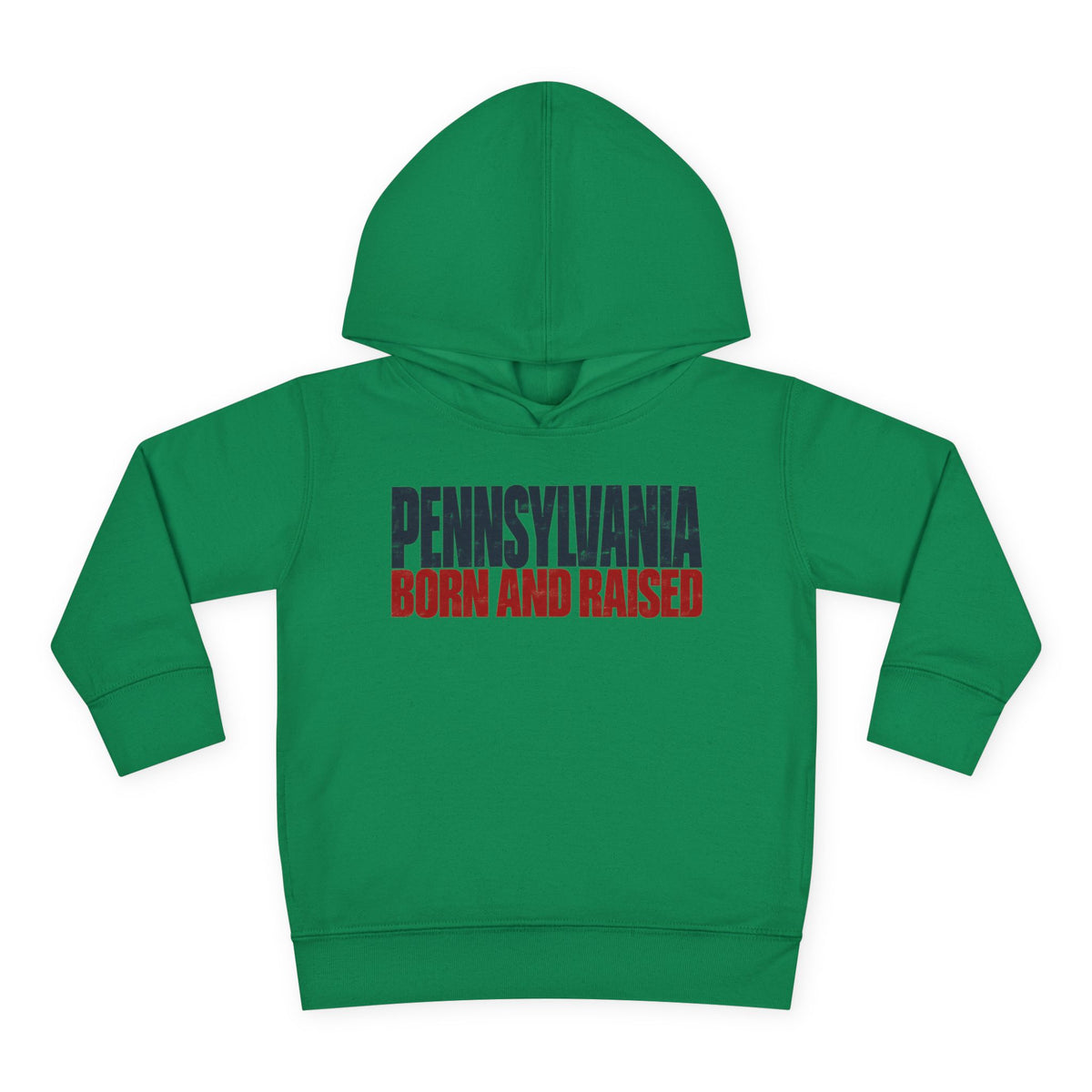 Pennsylvania Born and Raised Northeast Streetwear Unisex Toddler Pullover Fleece Hoodie
