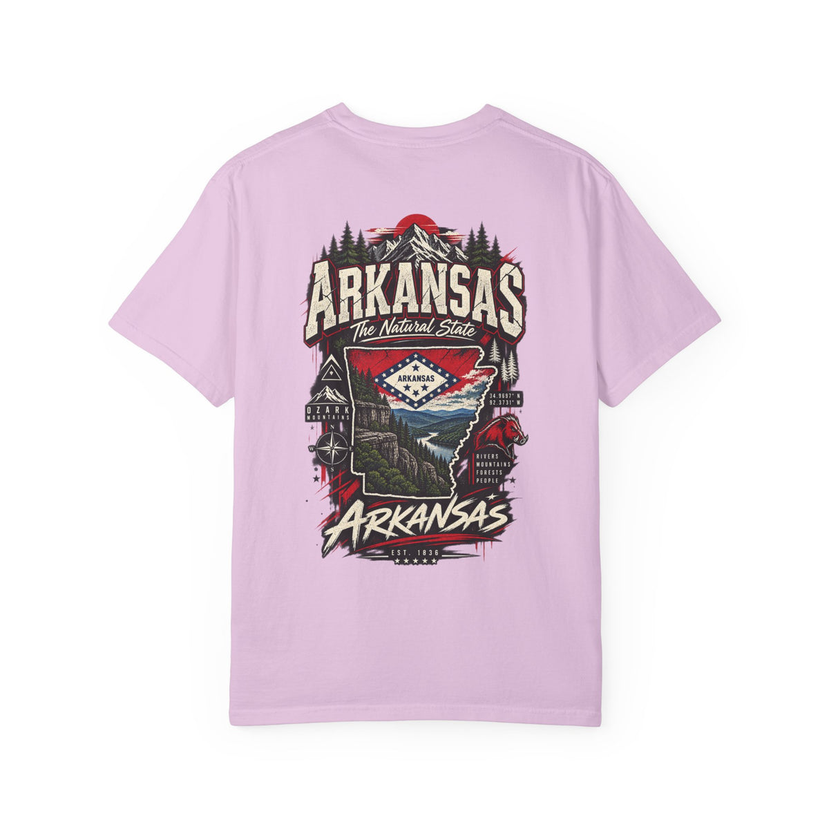 Arkansas Street Legacy Unisex Comfort Color 1717 Streetwear Graphic Tee