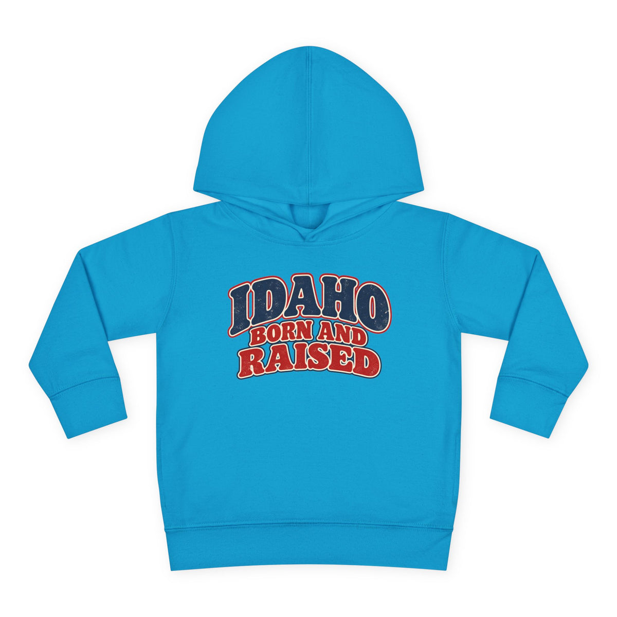 Idaho Born and Raised Retro 1970s Unisex Toddler Pullover Fleece Hoodie