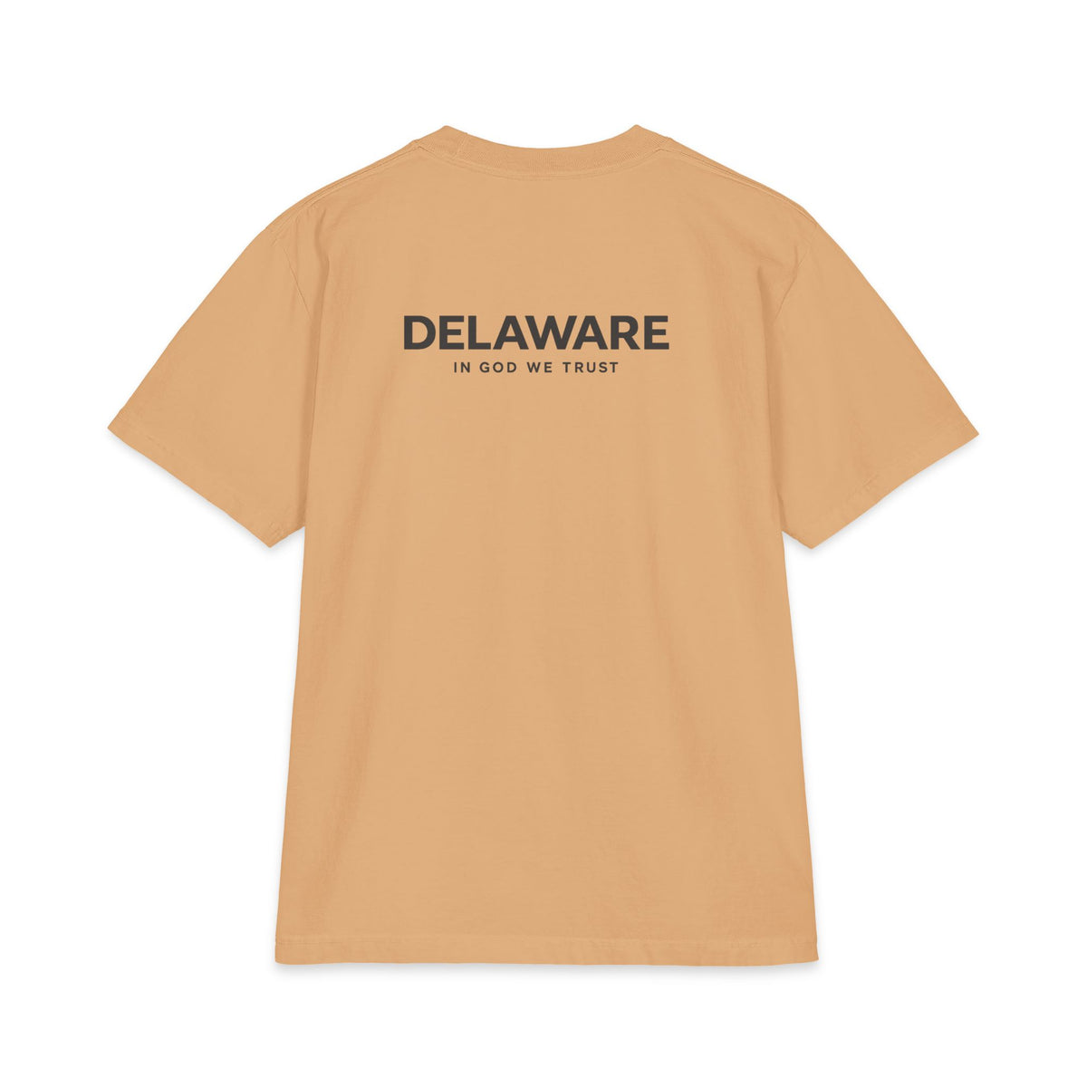 Delaware All State In God We Trust Unisex Max Heavyweight Short Sleeve