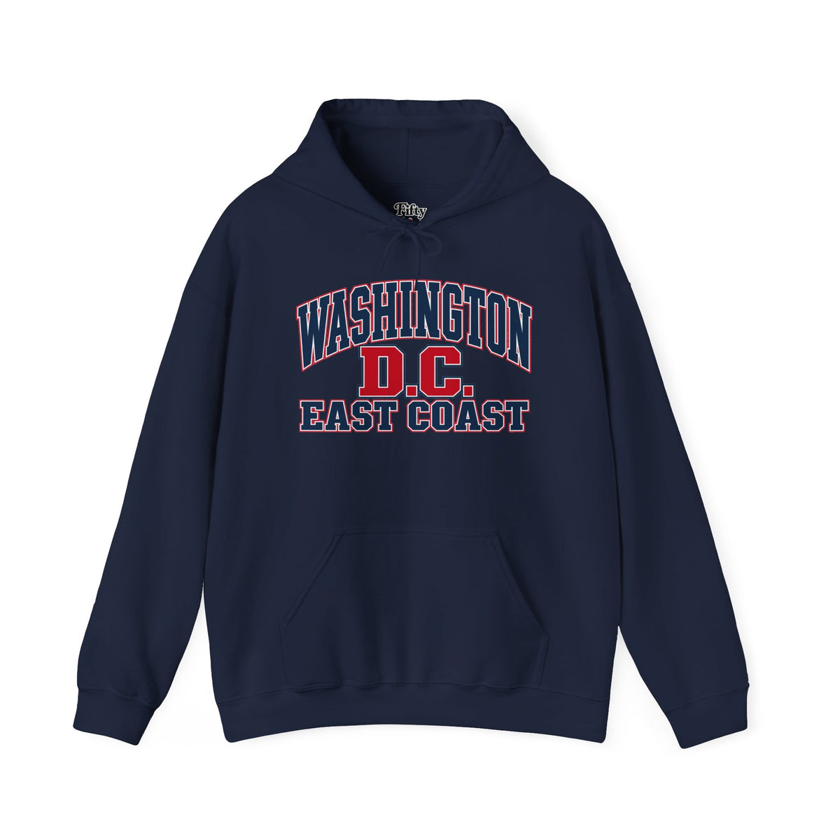 Washington DC East Coast Unisex Hoodie State Name Graphic