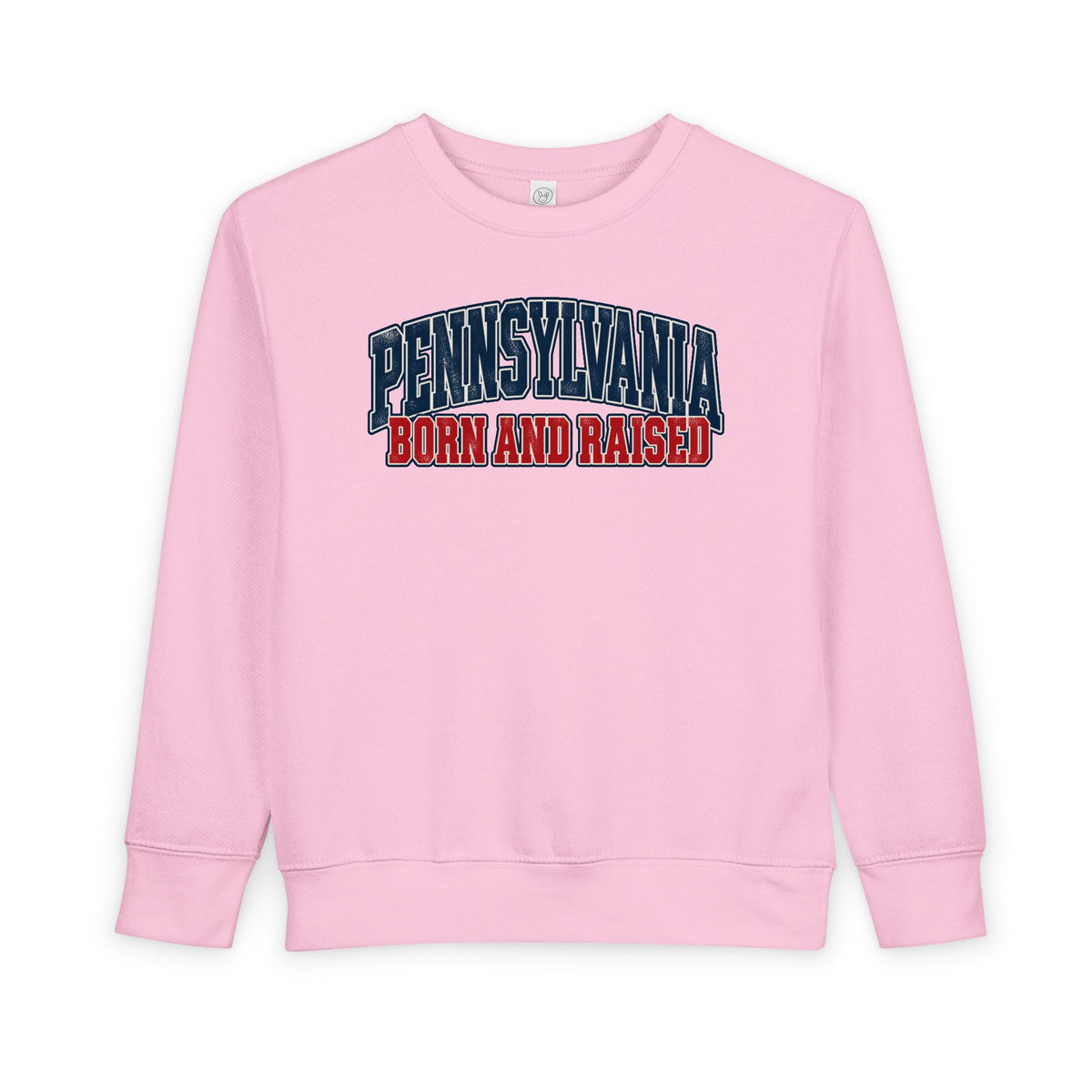 Pennsylvania Born and Raised Vintage Collegiate Unisex Toddler Sweatshirt