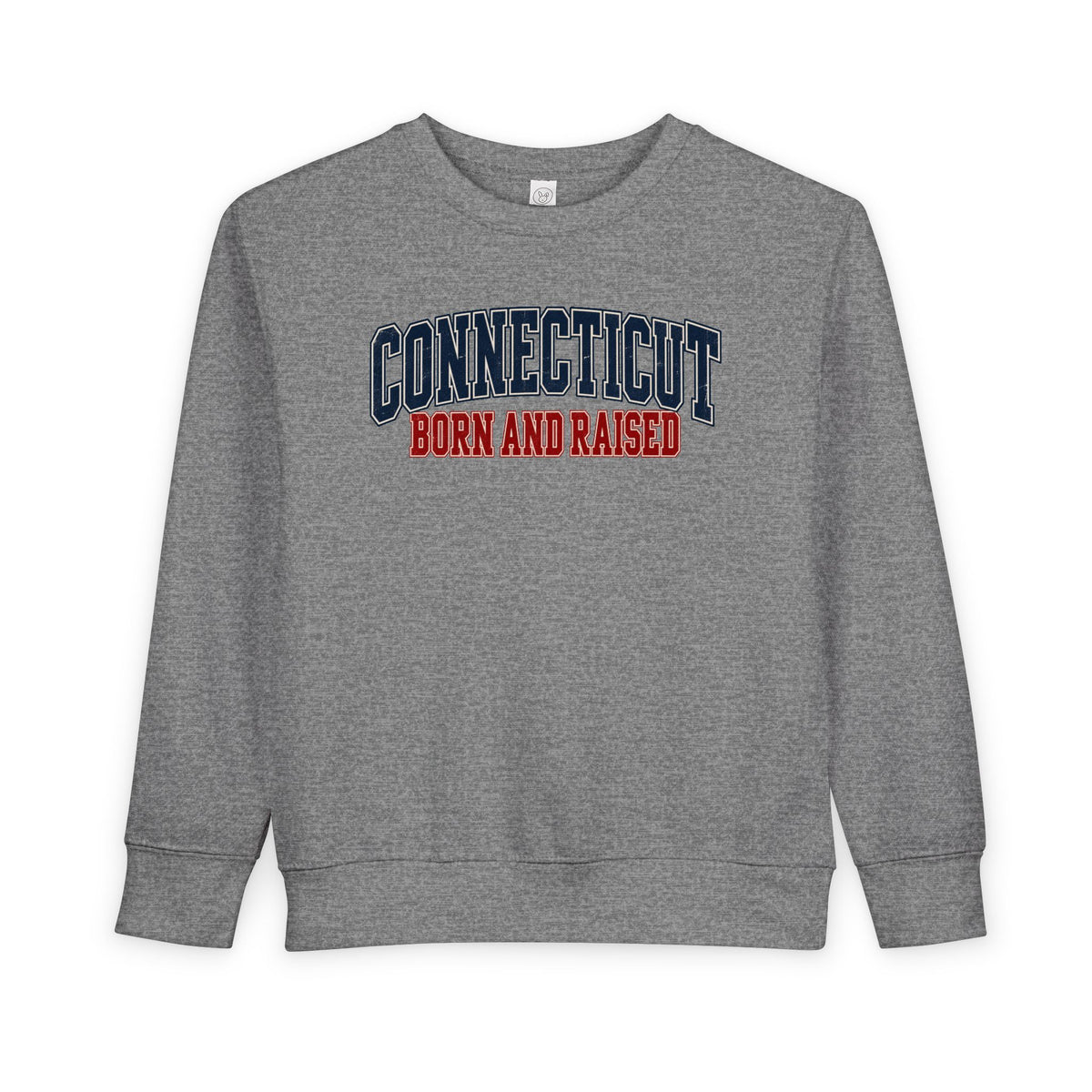 Connecticut Born and Raised Retro Collegiate Unisex Toddler Sweatshirt