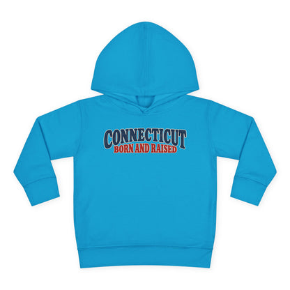 Connecticut Born and Raised 1970s Americana Unisex Toddler Pullover Fleece Hoodie