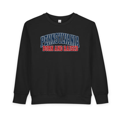 Pennsylvania Born and Raised Vintage Collegiate Unisex Toddler Sweatshirt