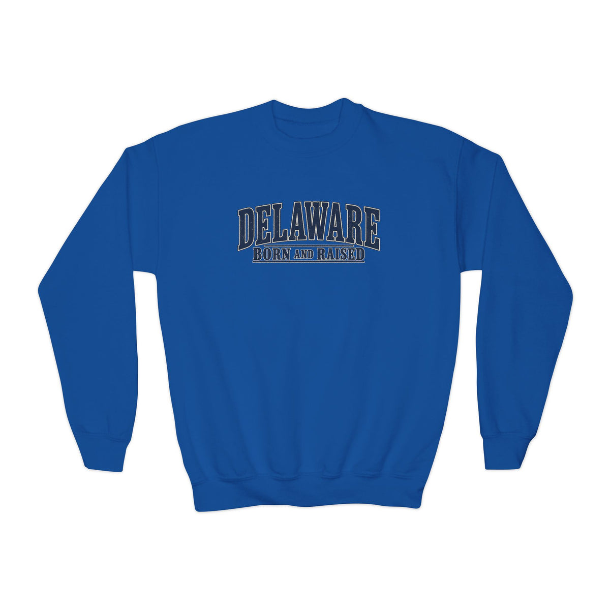 Delaware Born and Raised Luxury Vintage Unisex Youth Crewneck Sweatshirt Graphic