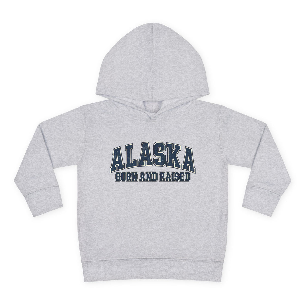 Alaska Born and Raised Classic Collegiate Unisex Toddler Pullover Fleece Hoodie