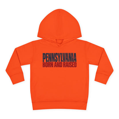 Pennsylvania Born and Raised Northeast Streetwear Unisex Toddler Pullover Fleece Hoodie