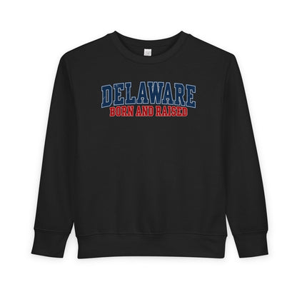Delaware Born and Raised Vintage Collegiate Unisex Toddler Sweatshirt