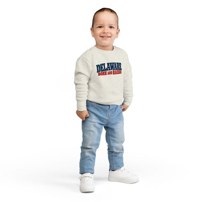 Delaware Born and Raised Retro 1970s Unisex Toddler Sweatshirt