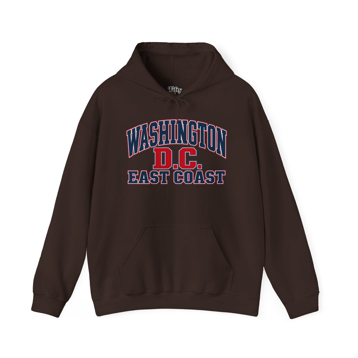 Washington DC East Coast Unisex Hoodie State Name Graphic