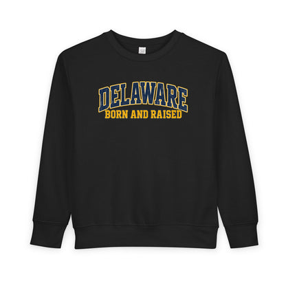 Delaware Born and Raised Old-School Athletic Unisex Toddler Sweatshirt