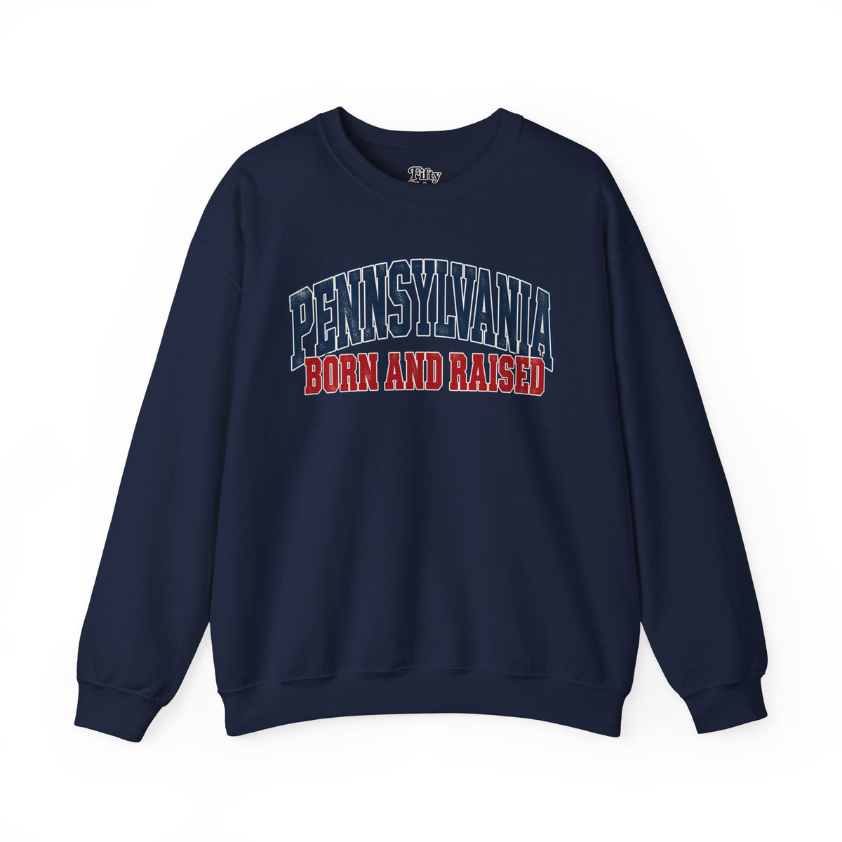 Pennsylvania Born and Raised Vintage Collegiate Unisex Sweatshirt Graphic
