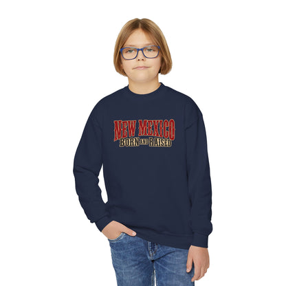 New Mexico Born and Raised Southwestern Heritage Unisex Youth Crewneck Sweatshirt Graphic