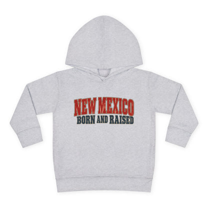 New Mexico Born and Raised Vintage Americana Unisex Toddler Pullover Fleece Hoodie