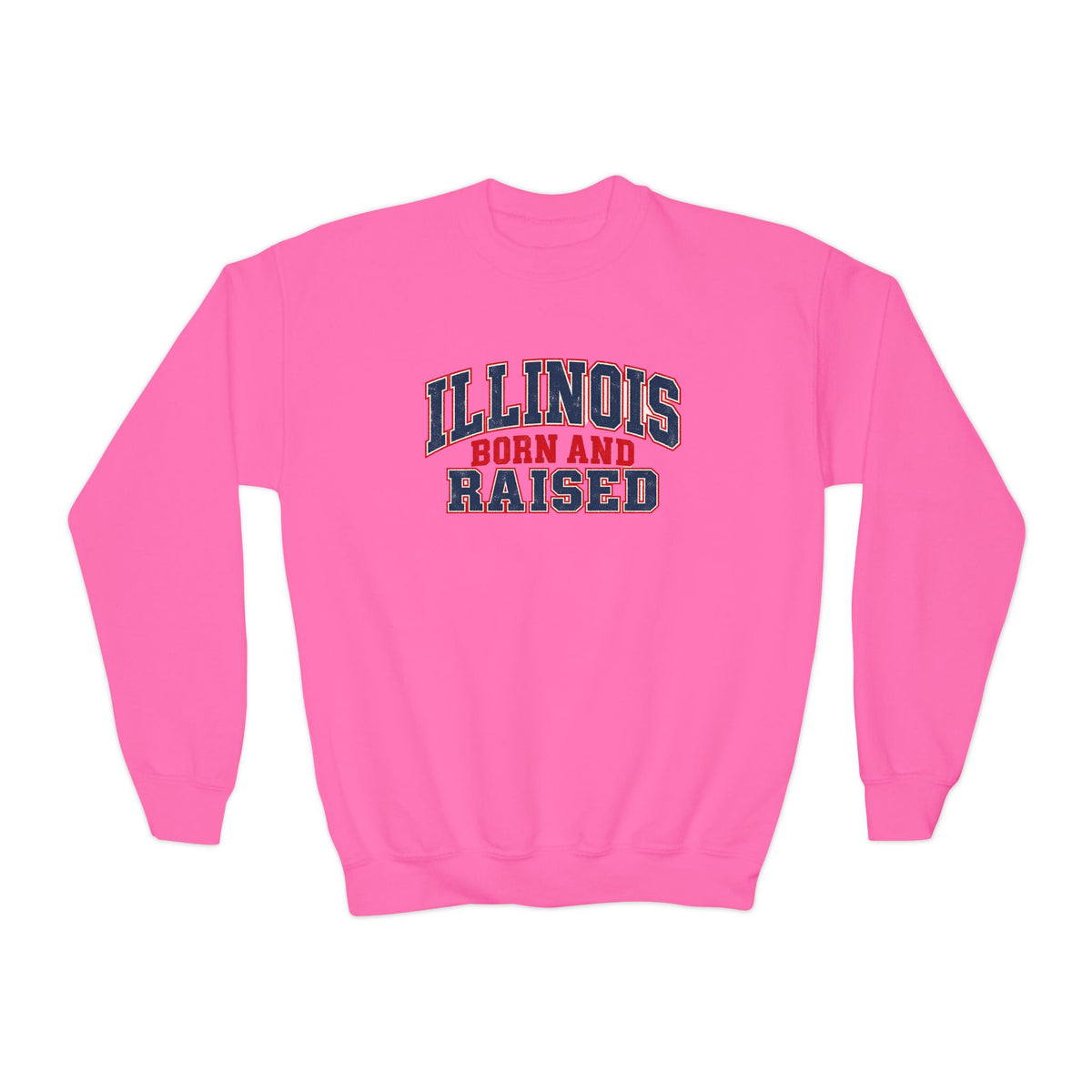 Illinois Born and Raised Vintage Collegiate Unisex Youth Crewneck Sweatshirt Graphic