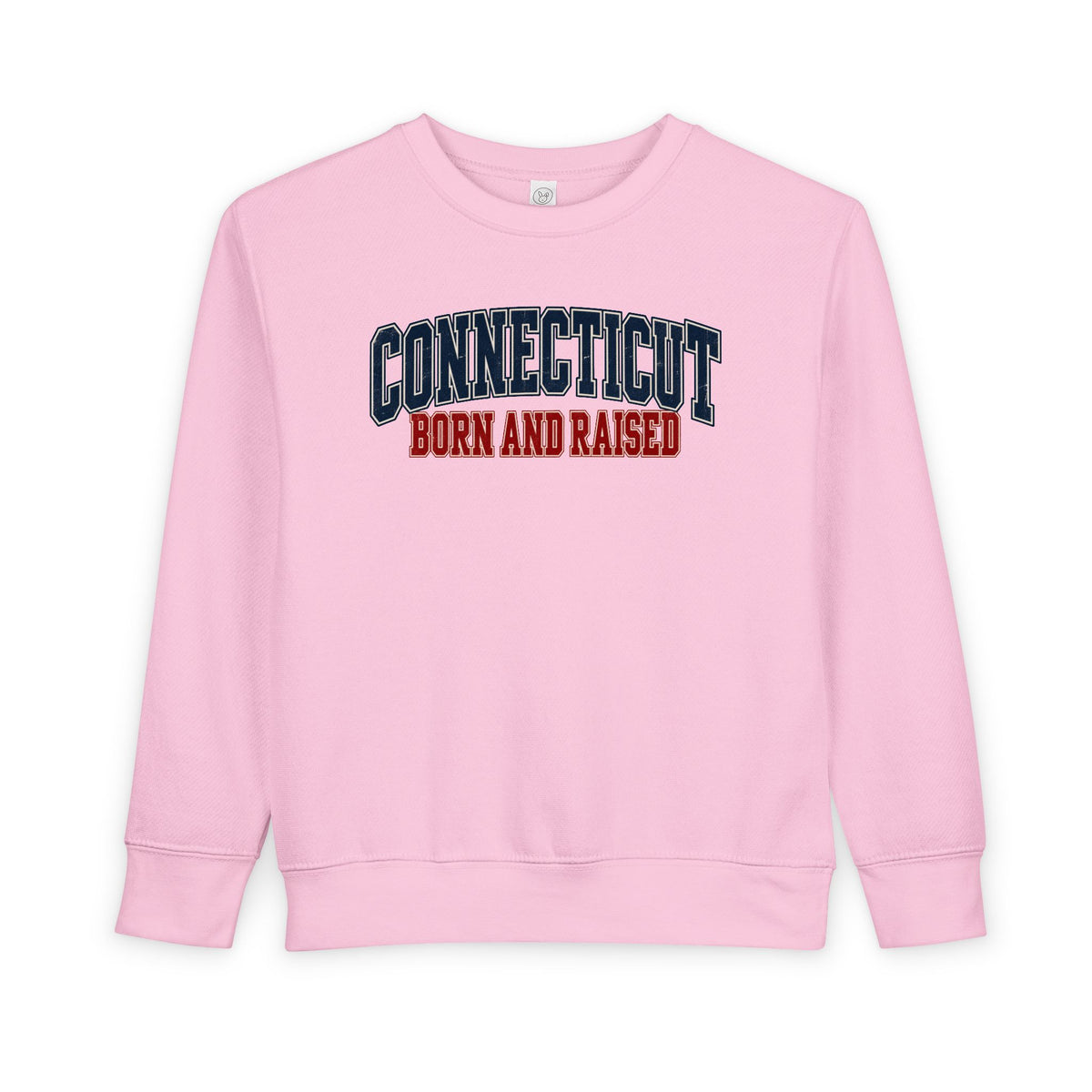 Connecticut Born and Raised Retro Collegiate Unisex Toddler Sweatshirt