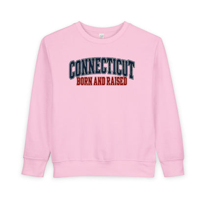 Connecticut Born and Raised Retro Collegiate Unisex Toddler Sweatshirt