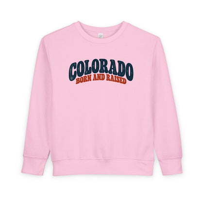 Colorado Born and Raised Retro 1970s Unisex Toddler Sweatshirt