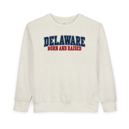Delaware Born and Raised Vintage Collegiate Unisex Toddler Sweatshirt