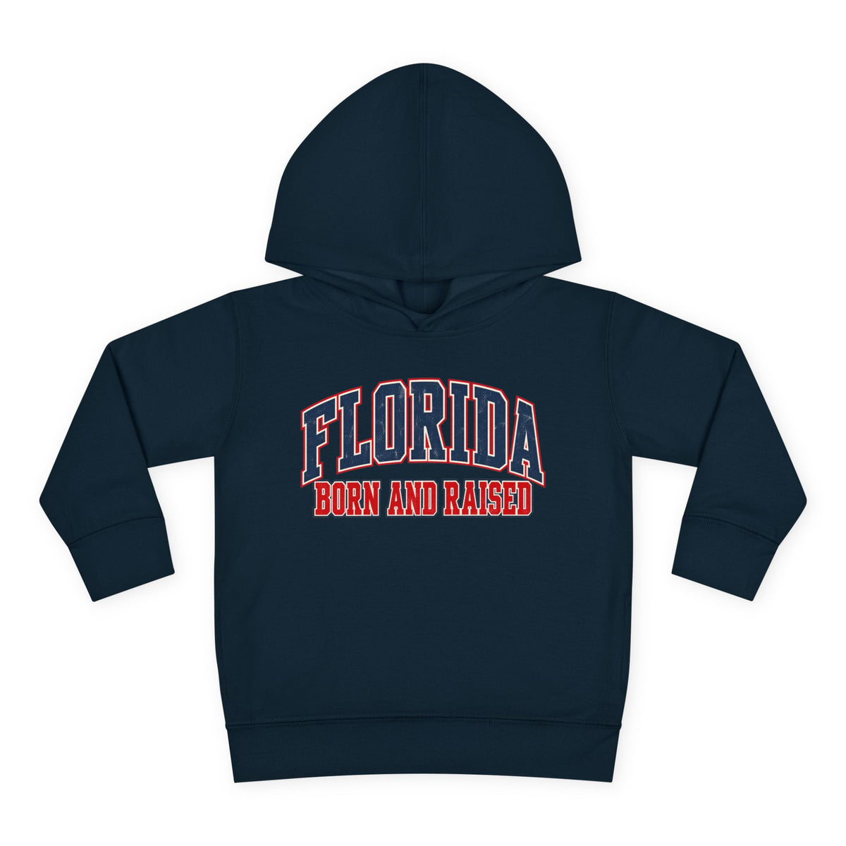Florida Born and Raised Vintage Collegiate Unisex Toddler Pullover Fleece Hoodie