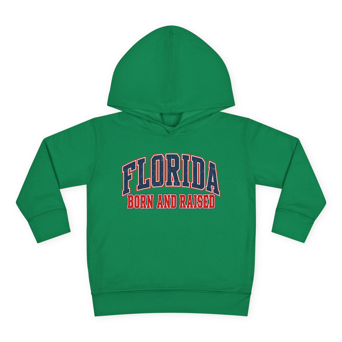 Florida Born and Raised Vintage Collegiate Unisex Toddler Pullover Fleece Hoodie