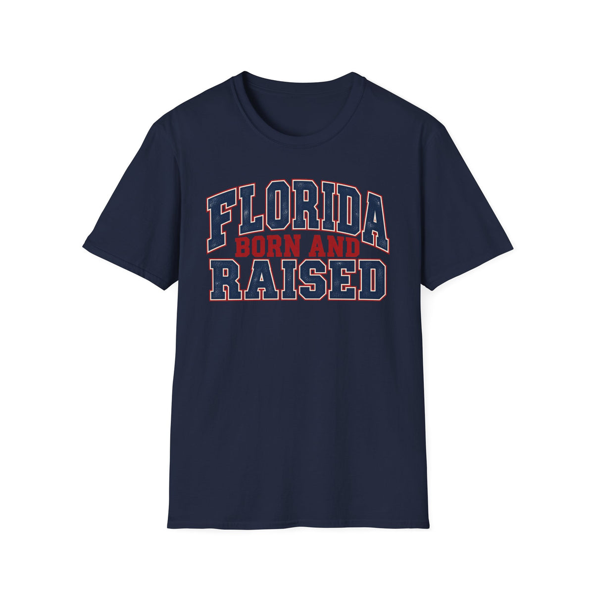 Florida Born and Raised Unisex Softstyle T Shirt State Name Graphic Tee