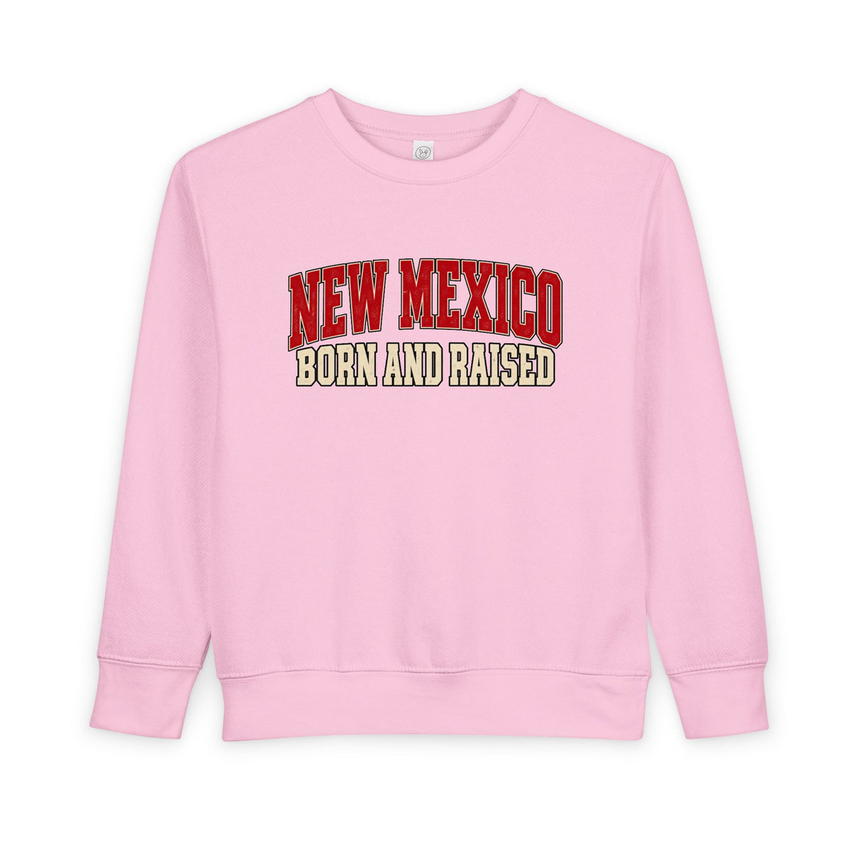 New Mexico Born and Raised Retro Collegiate Unisex Toddler Sweatshirt