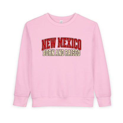 New Mexico Born and Raised Retro Collegiate Unisex Toddler Sweatshirt