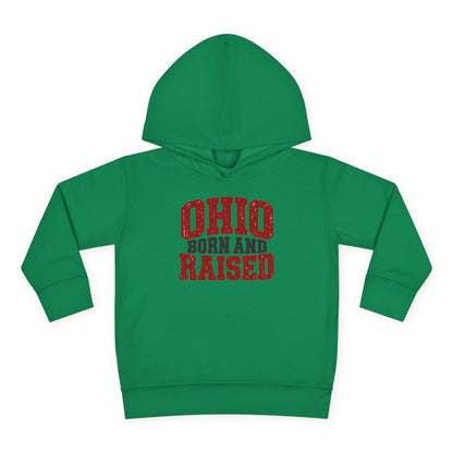 Ohio Born and Raised Midwest Heritage Unisex Toddler Pullover Fleece Hoodie