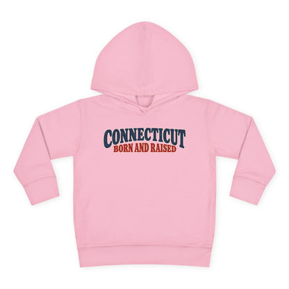 Connecticut Born and Raised 1970s Americana Unisex Toddler Pullover Fleece Hoodie