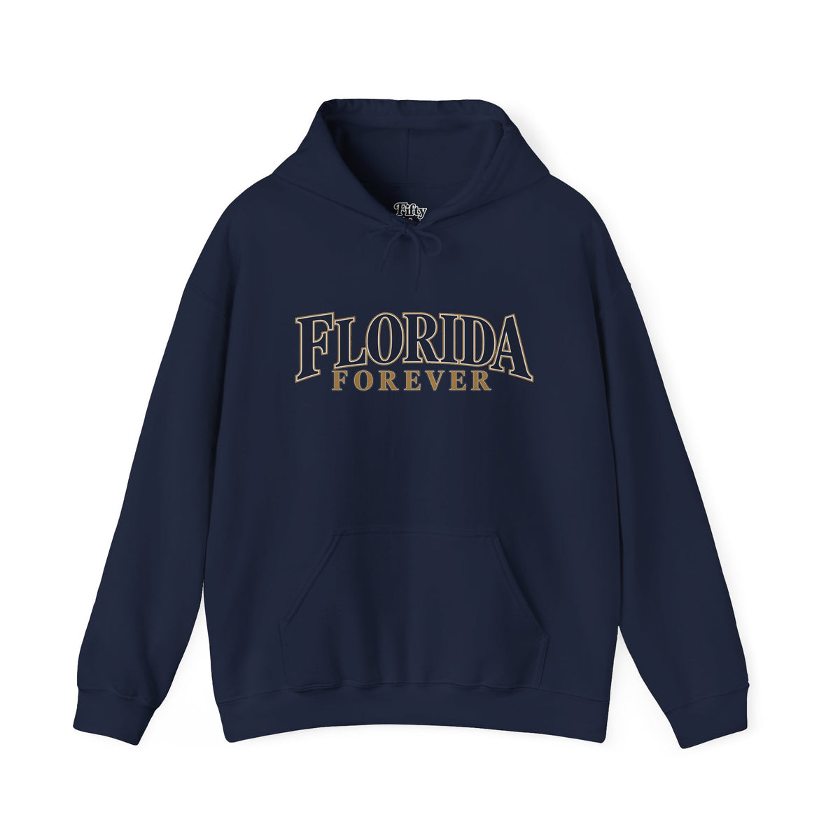Florida Forever Unisex Hoodie State Name Graphic