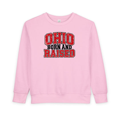 Ohio Born and Raised Vintage Collegiate Unisex Toddler Sweatshirt