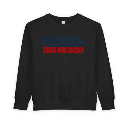 Pennsylvania Born and Raised Northeast Streetwear Unisex Toddler Sweatshirt