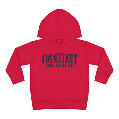 Connecticut Born and Raised Luxury Heritage Unisex Toddler Pullover Fleece Hoodie