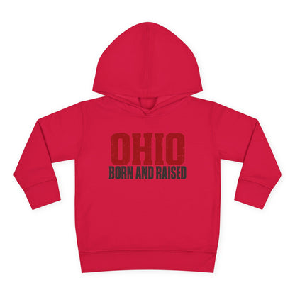 Ohio Born and Raised Minimal Heritage Unisex Toddler Pullover Fleece Hoodie
