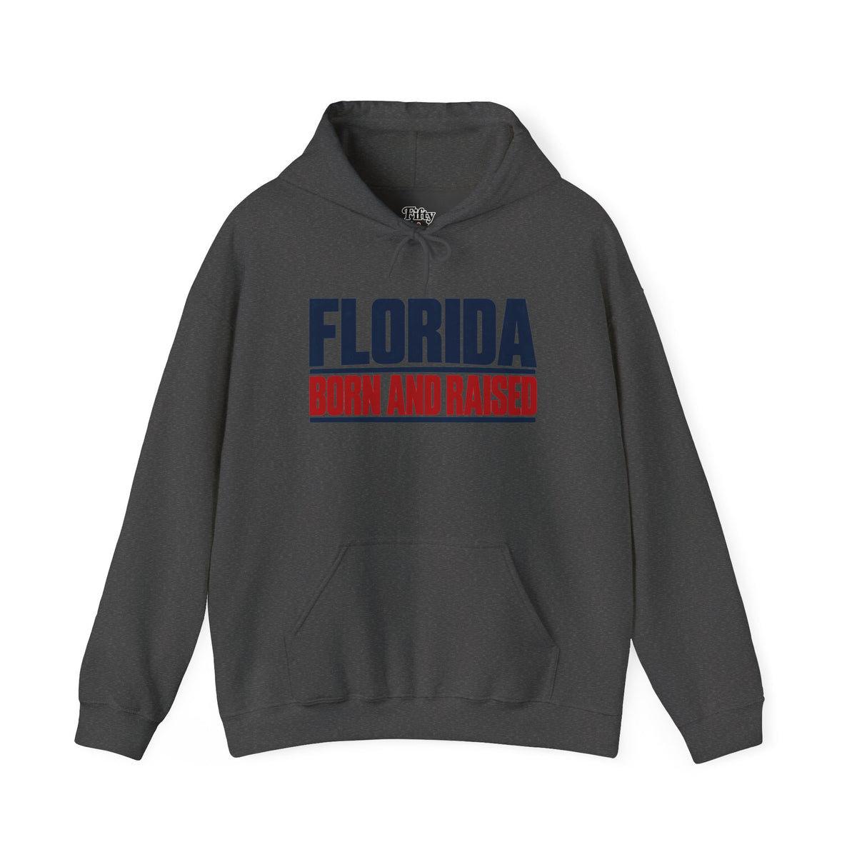 Florida Born and Raised Modern Streetwear Unisex Hoodie Graphic