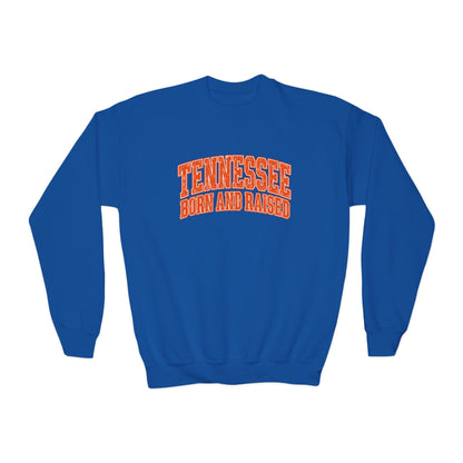 Tennessee Born and Raised Southern Collegiate Unisex Youth Crewneck Sweatshirt Graphic