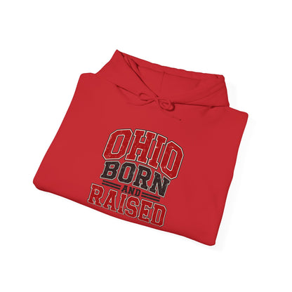 Ohio Born And Raised Unisex Hoodie State Name Graphic