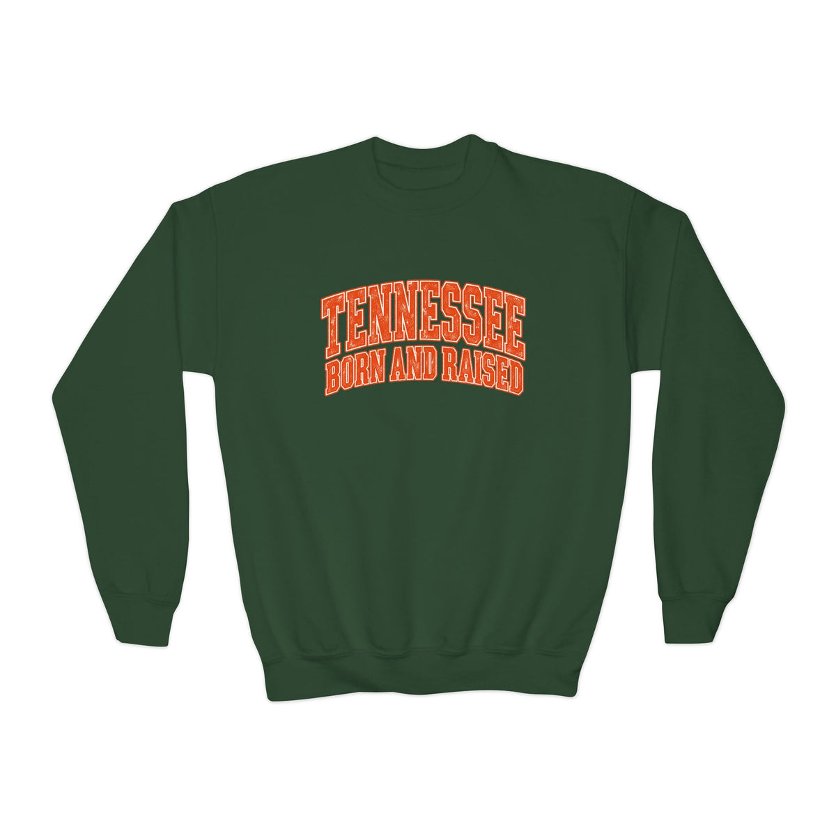 Tennessee Born and Raised Southern Collegiate Unisex Youth Crewneck Sweatshirt Graphic