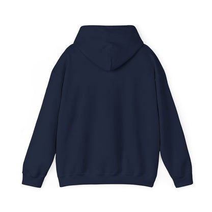 Ohio Vibes Unisex Hoodie State Name Graphic