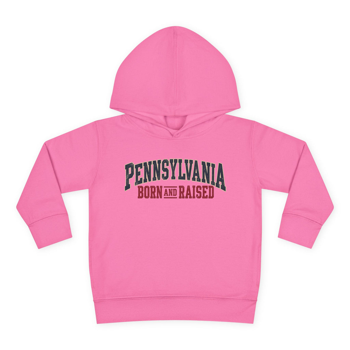 Pennsylvania Born and Raised Classic Souvenir Unisex Toddler Pullover Fleece Hoodie