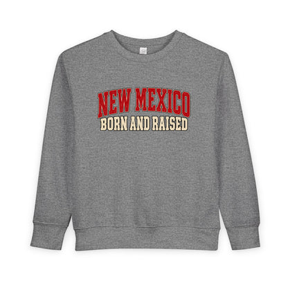 New Mexico Born and Raised Retro Collegiate Unisex Toddler Sweatshirt